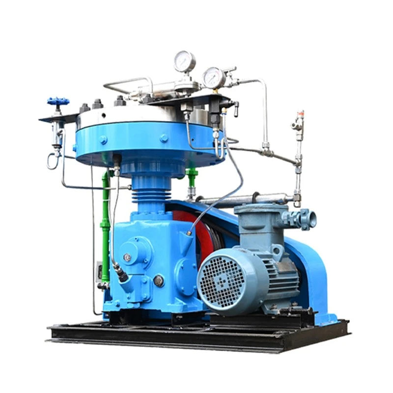 Leading Diaphragm Compressor Manufacturer best